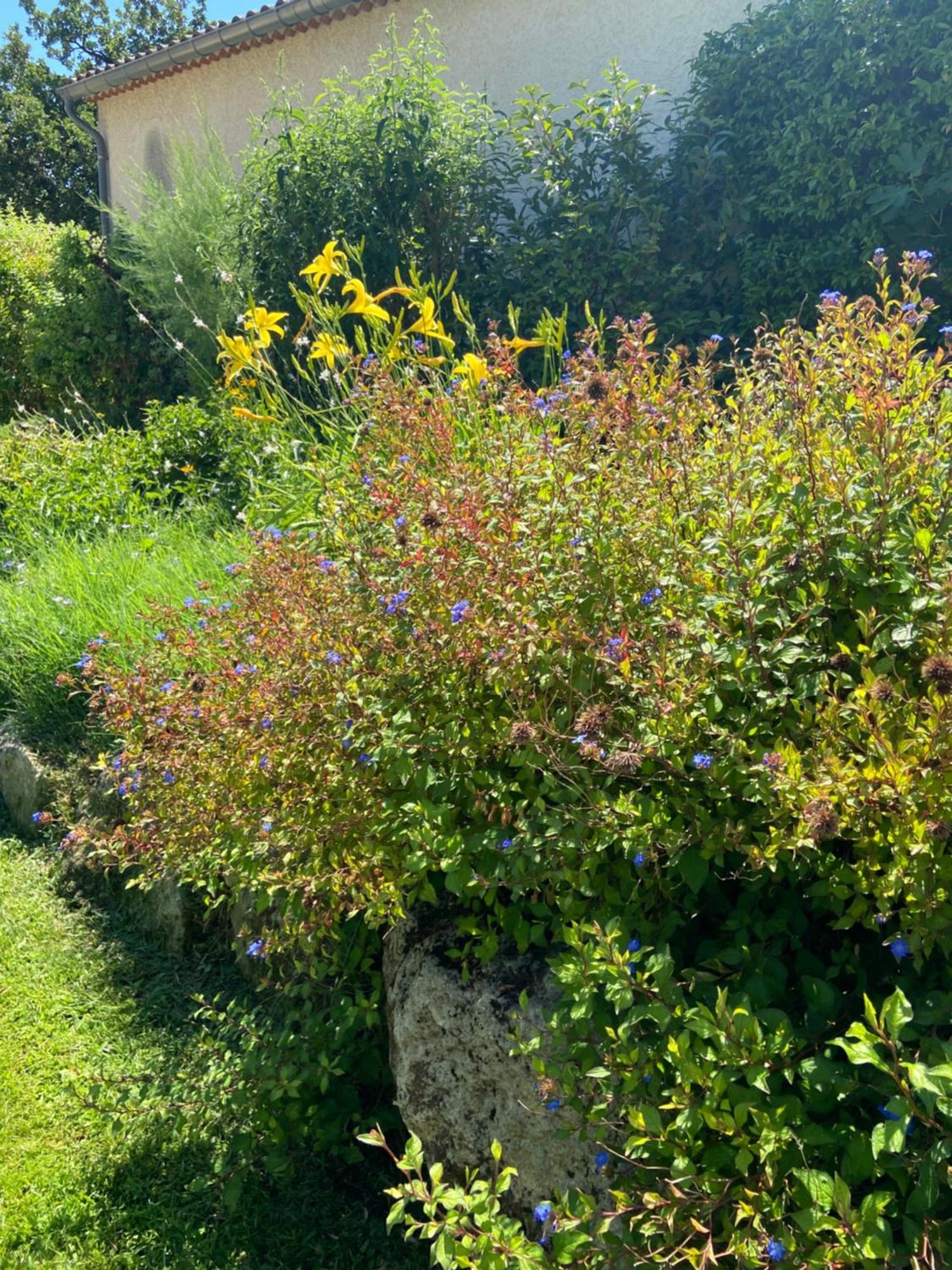 Paradis Provencal Villa - Espace Detente Et Bbq Lmv Carpentras Bagian luar foto